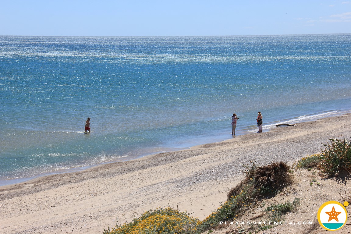 Plage d´El Saler (Plage de la Salière)València (El Saler) municipaliteValencia Plage d´El Saler (Plage de la Salière)València (El Saler) municipaliteValencia